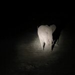 Photo taken by Julien C