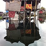 Photo taken by Rodney S