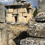 Photo taken by Michael E