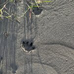 Photo taken by Breann B