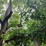 Photo taken by Erin K