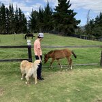 Photo taken by Nicole G