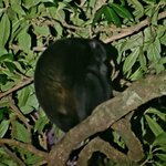 Photo taken by Lisa R