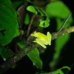 Photo taken by Darlene N