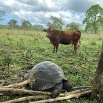 Photo taken by Nicole S