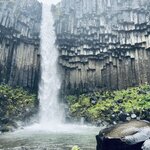 Photo taken by Donna T