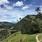 Cocora Valley | Photo taken by David B