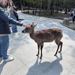 Photo taken by Norma M