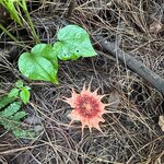 Photo taken by Fuad A