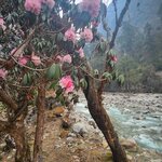 Photo taken by Sin kwan P