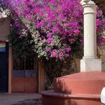 Photo taken by Priya R