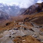 Photo taken by Peter M