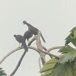 Photo taken by Breann B