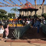 Photo taken by Kevin S