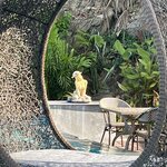 Photo taken by Thomas C