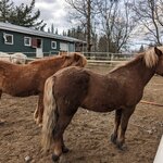 Photo taken by Alex T