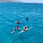 Photo taken by Erin P