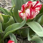 Photo taken by Jennifer D