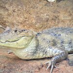 Photo taken by Kim C