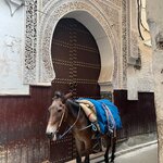 Photo taken by Lindsey B