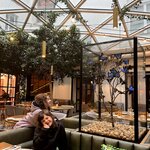 Photo taken by Matt R