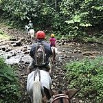 Photo taken by Michelle D