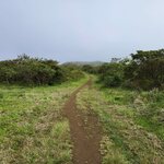 Photo taken by Patricia D