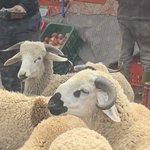 Photo taken by Eileen S