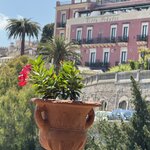 Photo taken by Marcia G