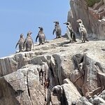 Photo taken by Keith J