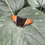 Photo taken by Brian L