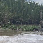 Photo taken by Ricky B