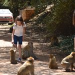 Photo taken by mirsini t