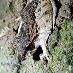 Photo taken by Tenley G