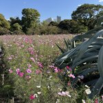 Photo taken by Charlotte B