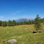 Photo taken by Irwin M