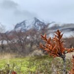 Photo taken by Chris J