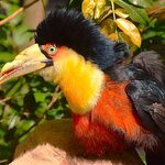 Photo taken by Dennis H