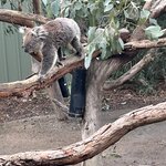 Photo taken by Amy W