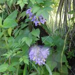 Photo taken by Linette B