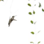 Photo taken by Graeme W