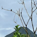 Photo taken by Jennifer G