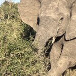 Photo taken by rhonda c