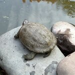 Photo taken by Kristin M