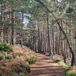 Photo taken by Kathryn S