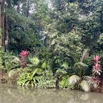 Photo taken by Rob C