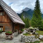 Photo taken by Janis R