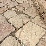 Photo taken by Mia F