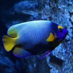 Photo taken by Judy H