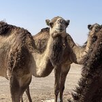 Photo taken by Bruce B